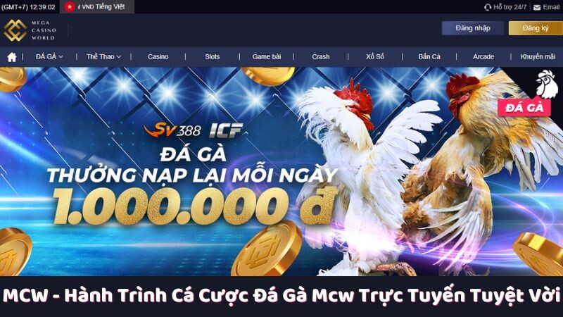 Vì sao MCW được bình chọn là sân chơi cá cược đá gà mcw trực tuyến hàng đầu Châu Á?